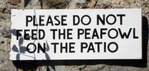 enhanced-buzz-18798-1367242095-1