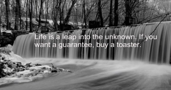 life_is_a_leap_into_the_unknown-227652
